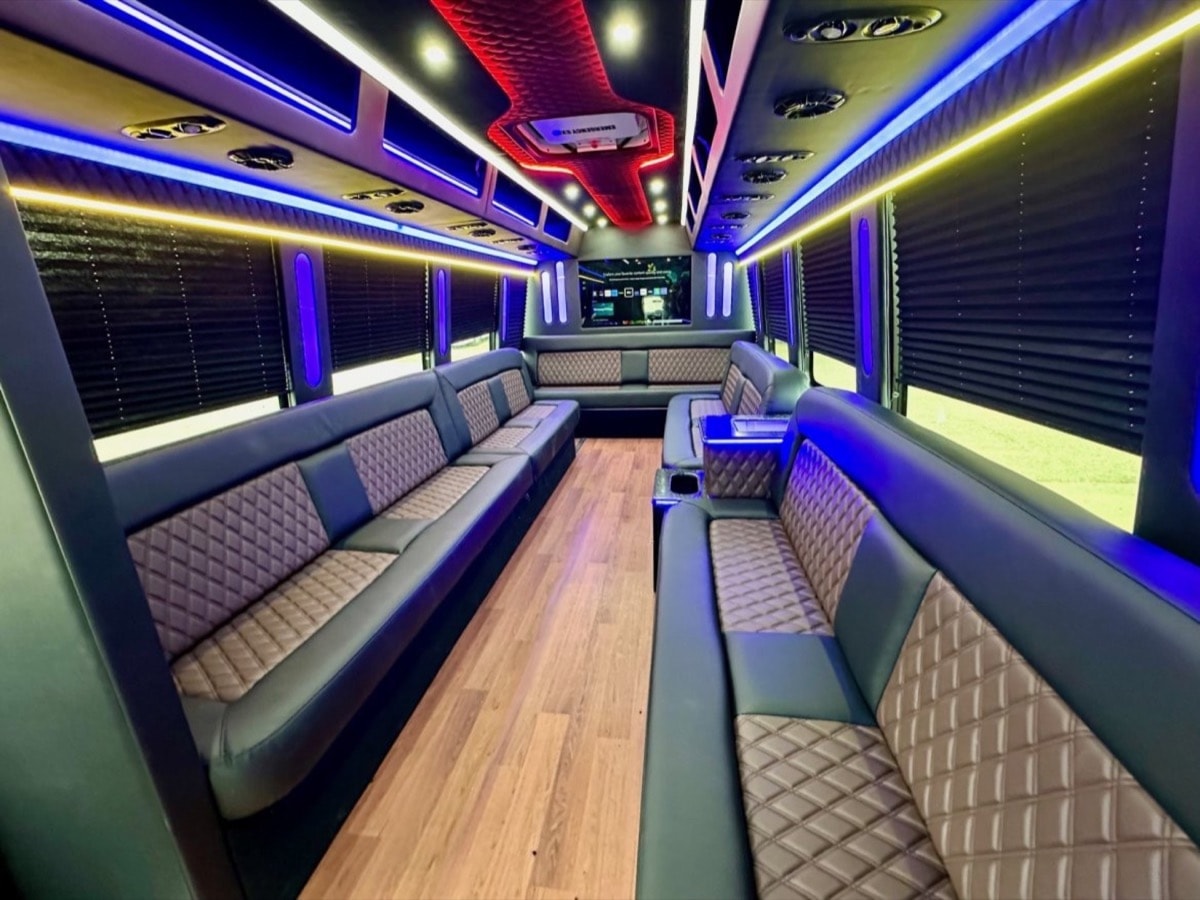 25 Passenger Party Bus – Pearl — photo 4