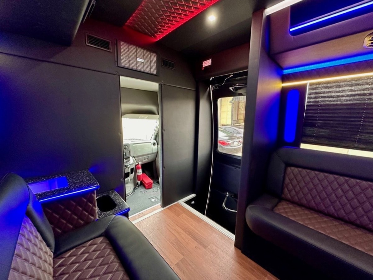 25 Passenger Party Bus – Pearl — photo 5